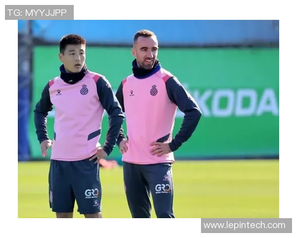 深圳排球队节奏之争引发热议球迷与专家各执己见